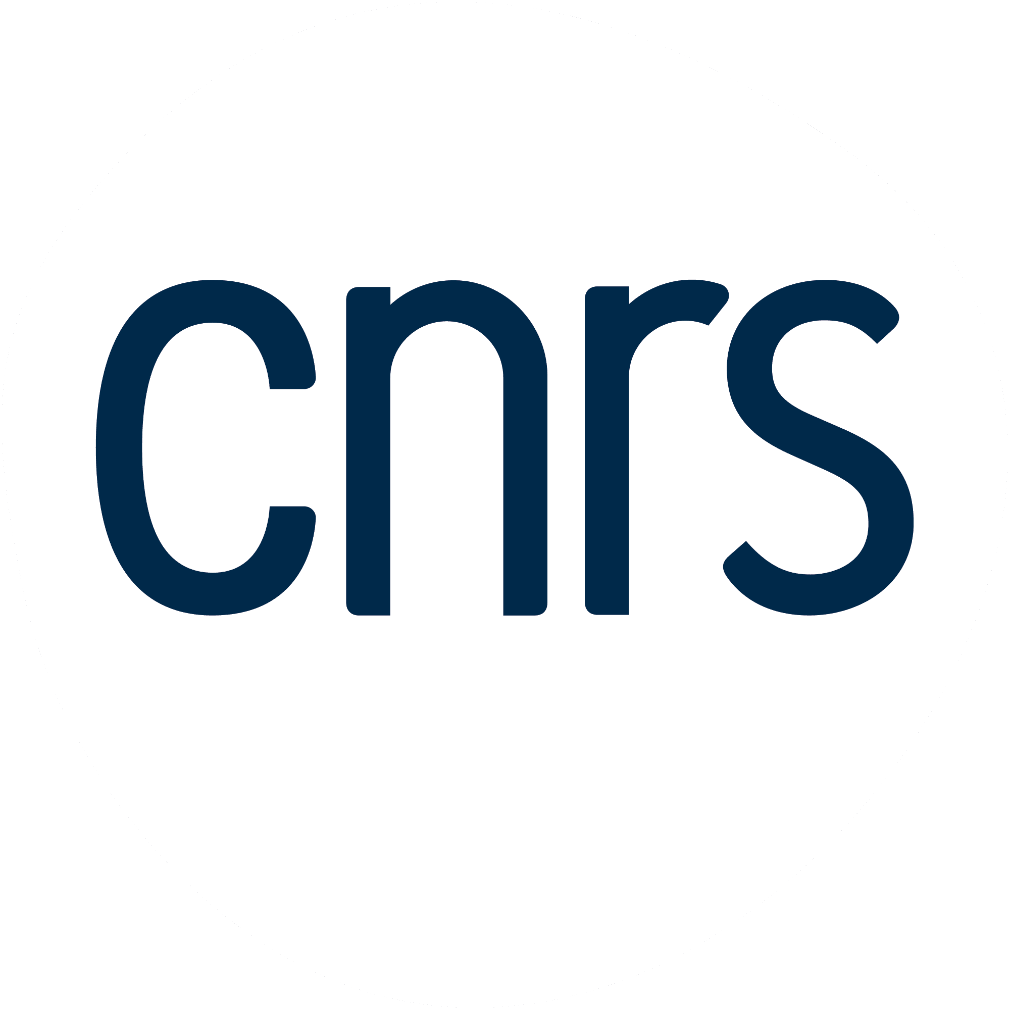 Logo CNRS